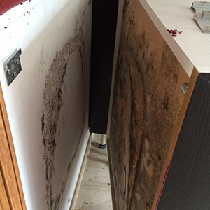 Services FLAMEO - Asséchement après dégat des eaux